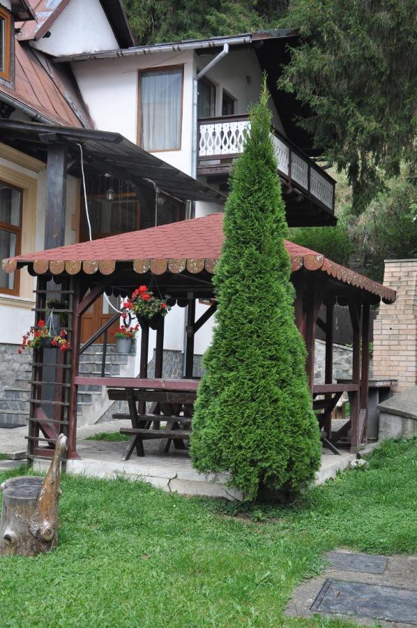 Vila Bradet بوستين المظهر الخارجي الصورة